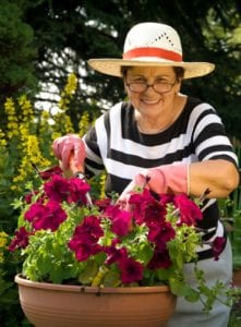 Elderly Care China Gove NC - April is National Garden Month: Why Gardening is Great for Seniors