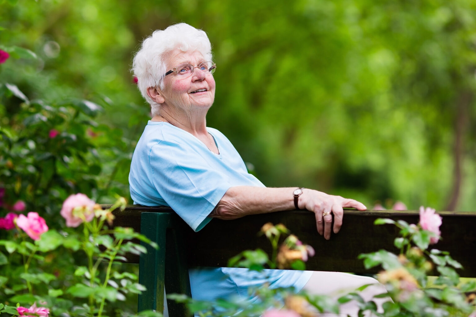 Is Gardening Something That Can Help Your Elderly Loved One ...