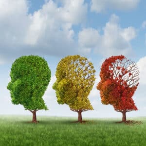 Aging Brain Changes: In-Home Care Kannapolis NC